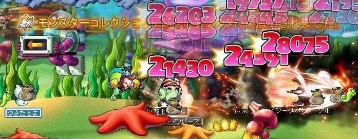 しーくる