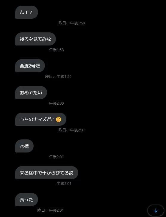 なまずさがし2