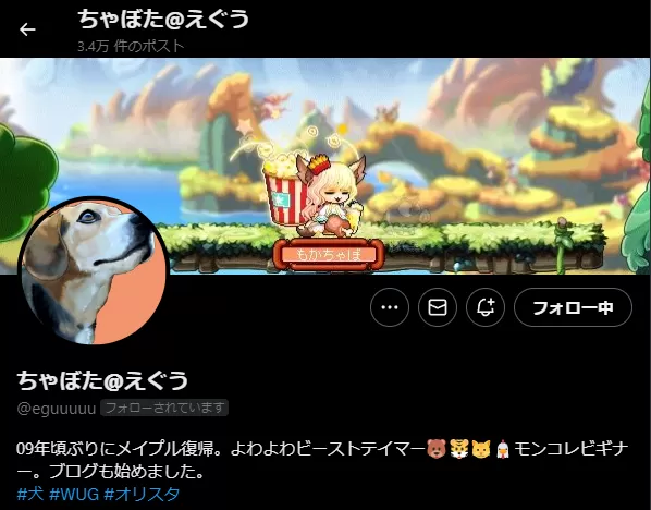 ちゃぼたさん