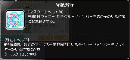 守護飛行