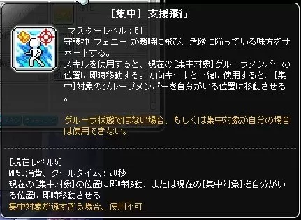 支援飛行