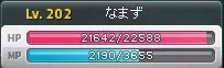 Maple_210712_094432_02.jpg